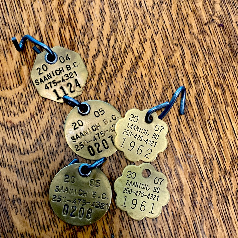 Vintage Brass Dog Tags